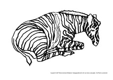 Zebra-2.pdf